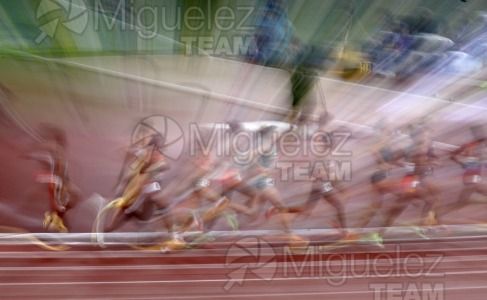 Campeonato del Mundo de Atletismo Absoluto al Aire Libre en (Tokio) 2025.