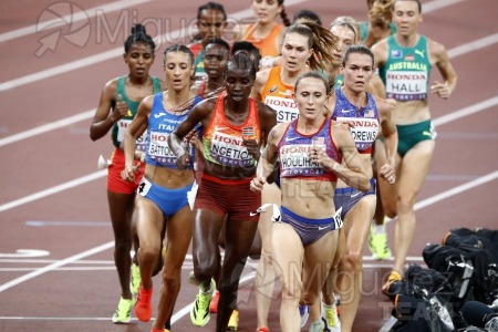 Campeonato del Mundo de Atletismo Absoluto al Aire Libre en (Tokio) 2025.