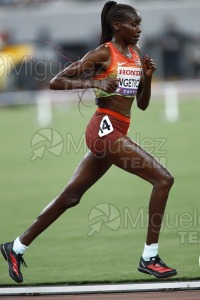 Campeonato del Mundo de Atletismo Absoluto al Aire Libre en (Tokio) 2025.