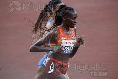 Campeonato del Mundo de Atletismo Absoluto al Aire Libre en (Tokio) 2025.