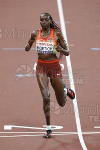 Campeonato del Mundo de Atletismo Absoluto al Aire Libre en (Tokio) 2025.