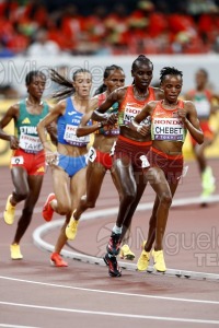 Campeonato del Mundo de Atletismo Absoluto al Aire Libre en (Tokio) 2025.