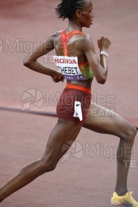 Campeonato del Mundo de Atletismo Absoluto al Aire Libre en (Tokio) 2025.