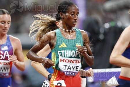 Campeonato del Mundo de Atletismo Absoluto al Aire Libre en (Tokio) 2025.