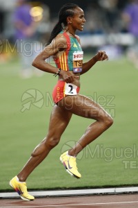 Campeonato del Mundo de Atletismo Absoluto al Aire Libre en (Tokio) 2025.