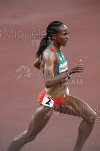 Campeonato del Mundo de Atletismo Absoluto al Aire Libre en (Tokio) 2025.