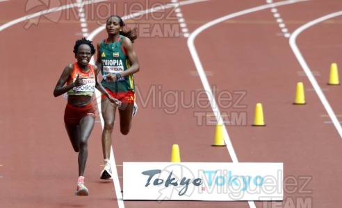 Campeonato del Mundo de Atletismo Absoluto al Aire Libre en (Tokio) 2025.