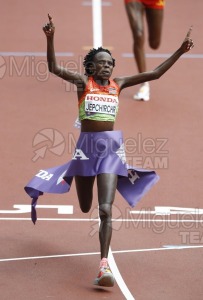 Campeonato del Mundo de Atletismo Absoluto al Aire Libre en (Tokio) 2025.