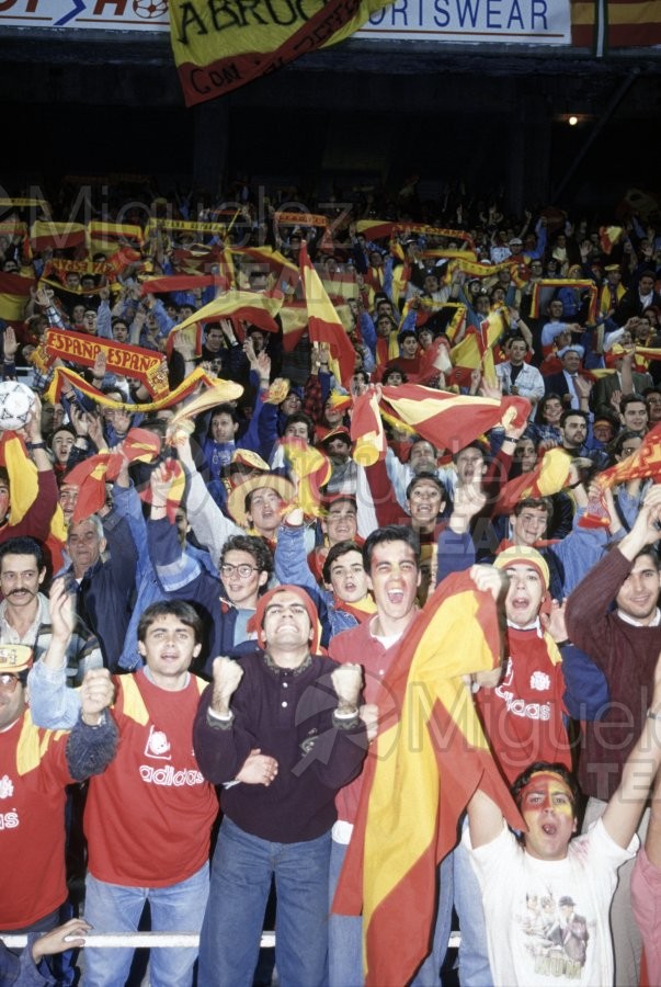 Partido Internacional de Clasificación para el Mundíal de USA-94 entre ESPAÑA-DINAMARCA (Sevilla) 1993