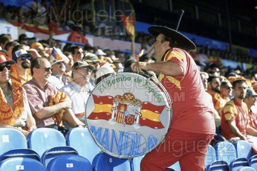 Partido 1ª Fase de la EUROCOPA-1996 entre FRANCIA-ESPAÑA en el estadio ELLAN ROAD DE LEEDS (INGLATERRA). 1996