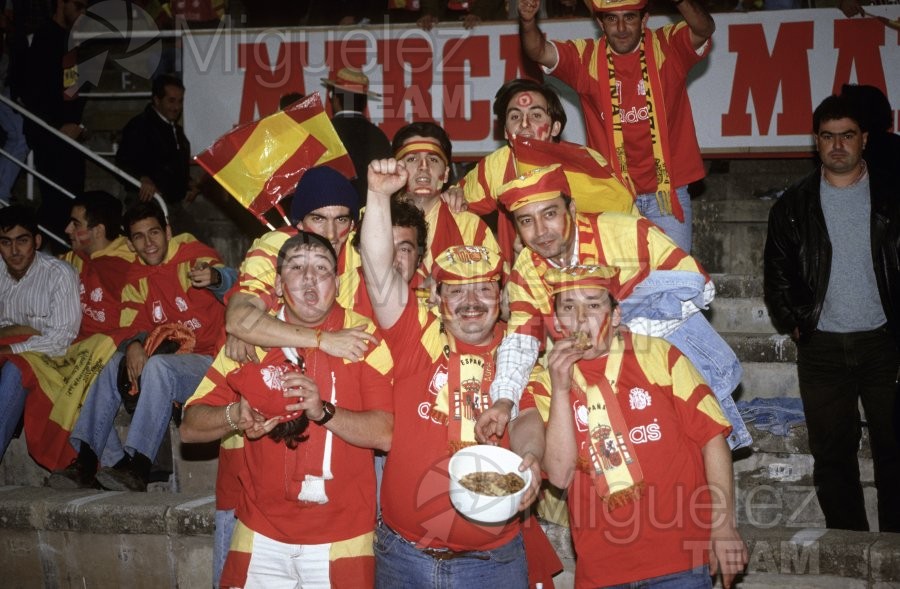 Partido Internacional de Clasificación para el Mundíal de USA-94 entre ESPAÑA-DINAMARCA (Sevilla) 1993