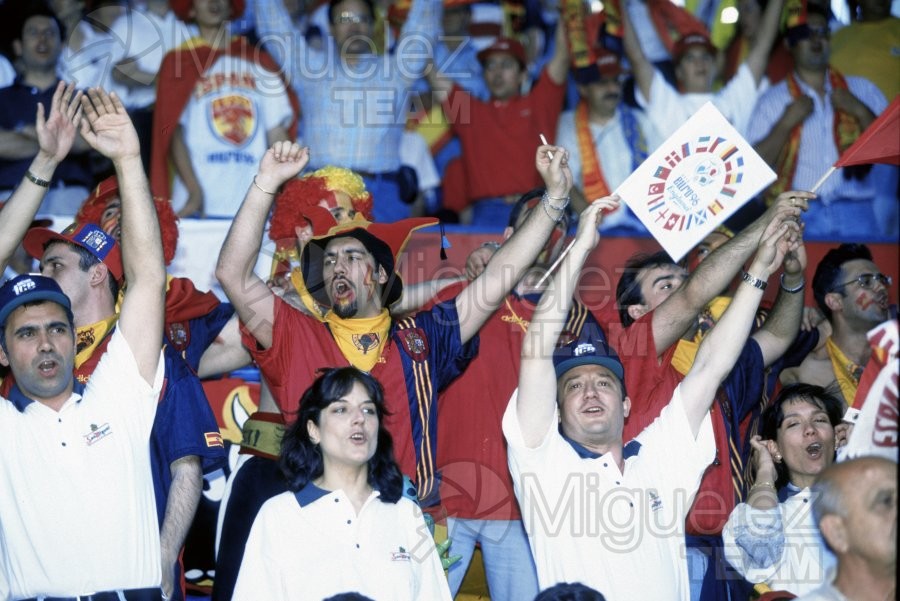 Partido 1ª Fase de la EUROCOPA-1996 entre FRANCIA-ESPAÑA en el estadio ELLAN ROAD DE LEEDS (INGLATERRA). 1996