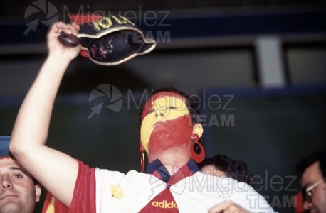 Partido 1ª Fase de la EUROCOPA-1996 entre RUMANIA-ESPAÑA en el estadio ELLAN ROAD DE LEEDS (INGLATERRA). 1996