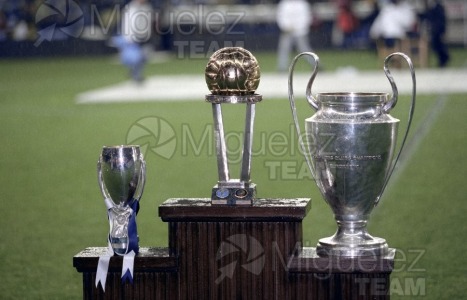 Partido amistoso entre REAL MADRID-SELECCION MUNDIAL, Madrid 2002.