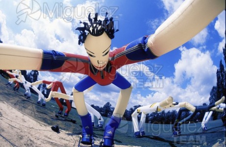 UEFA Eurocopa de fútbol 2000, celebrada en Bélgica y Paises Bajos.