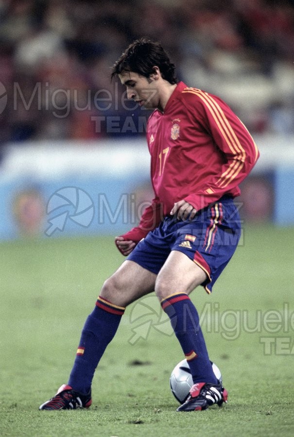 Partido amistoso entre ESPAÑA-DINAMARCA, Gijón 2004.