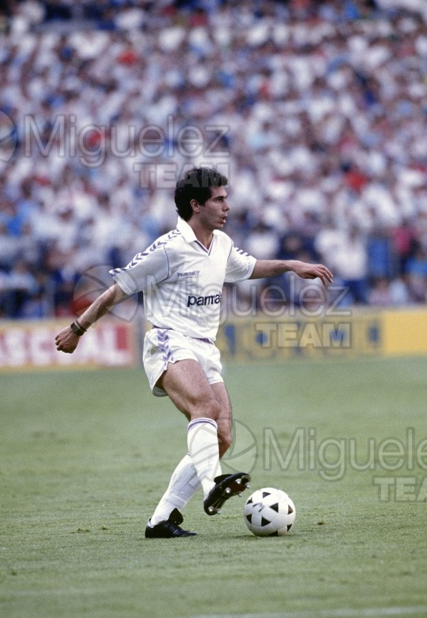 Partido de Liga Primera División Real Madrid-Sevilla Temporada 1988-1989.