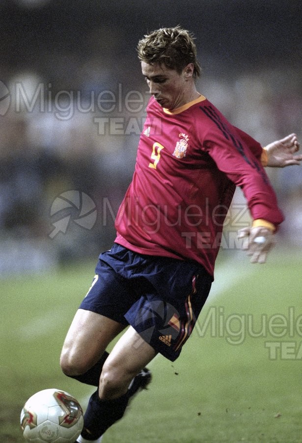 Partido Internacional de Clasificación para la Eurocopa de Portugal 2004 entre ESPAÑA-NORUEGA, Valencia 2003.