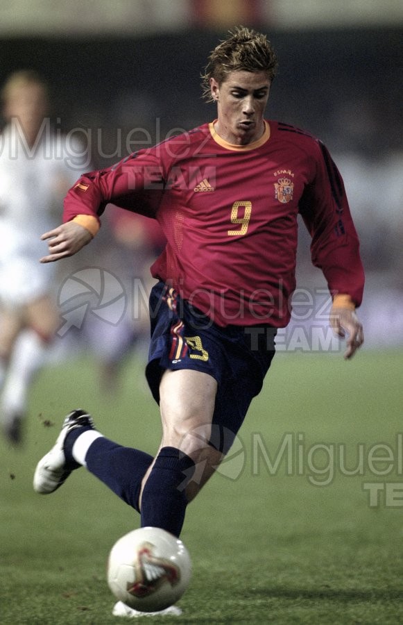 Partido Internacional de Clasificación para la Eurocopa de Portugal 2004 entre ESPAÑA-NORUEGA, Valencia 2003.
