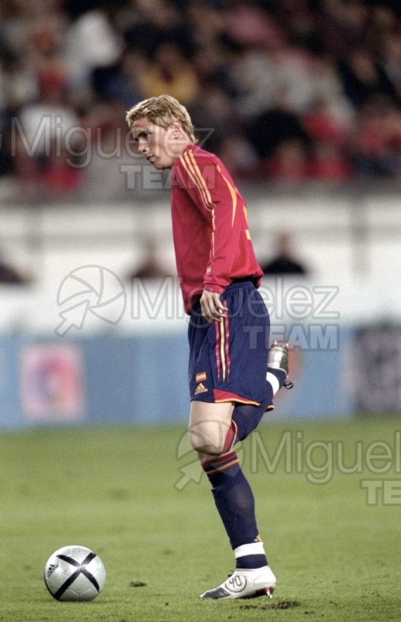 Partido amistoso entre ESPAÑA-DINAMARCA, Gijón 2004.