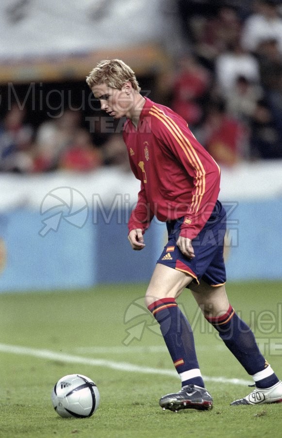 Partido amistoso entre ESPAÑA-DINAMARCA, Gijón 2004.