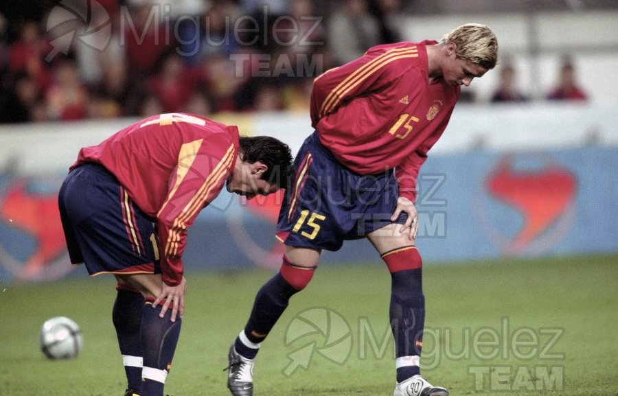 Partido amistoso entre ESPAÑA-DINAMARCA, Gijón 2004.