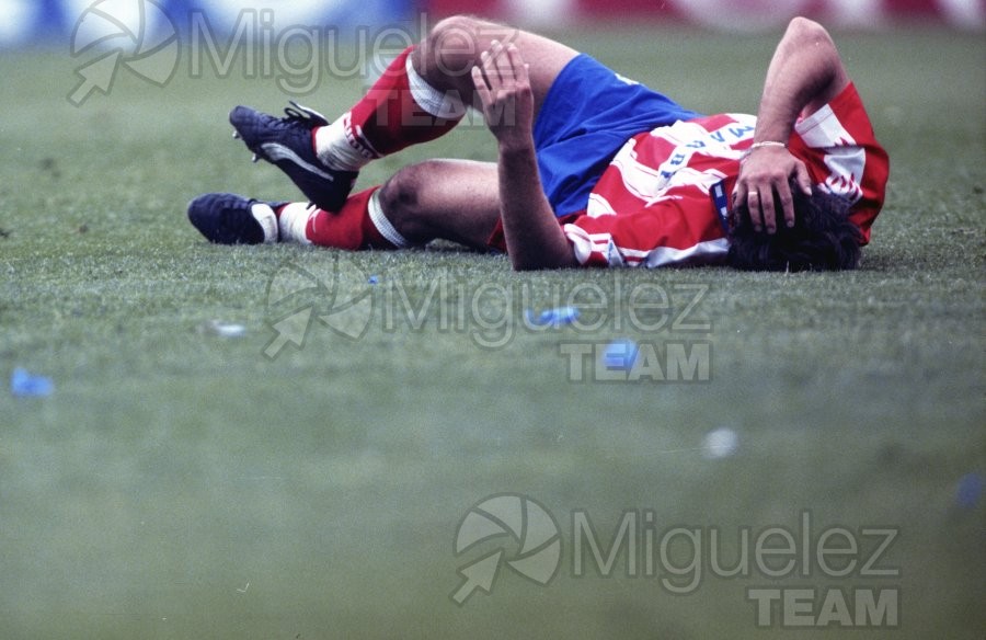 Encuentro de Liga 1ª División entre ATLÉTICO DE MADRID-SPORTING DE GIJÓN (Madrid). 1995