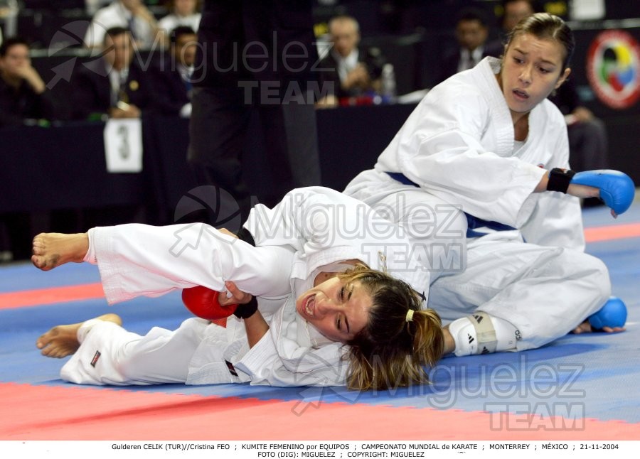 Campeonato Mundial de Karate (Monterrey) 2004.