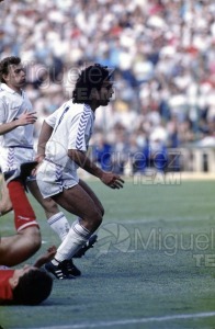 Partido de Liga Primera División Real Madrid-Sevilla Temporada 1988-1989.