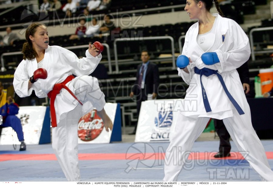 Campeonato Mundial de Karate (Monterrey) 2004.