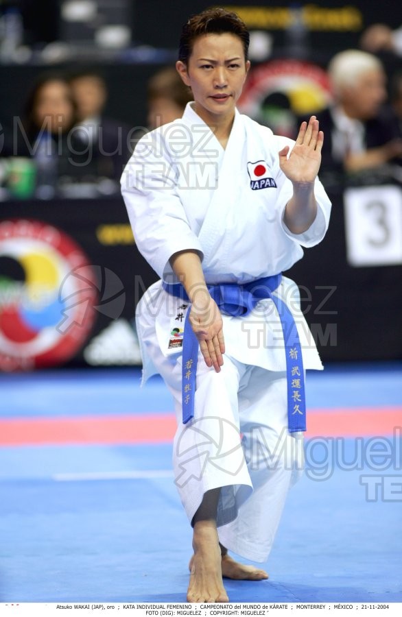 Campeonato Mundial de Karate (Monterrey) 2004.