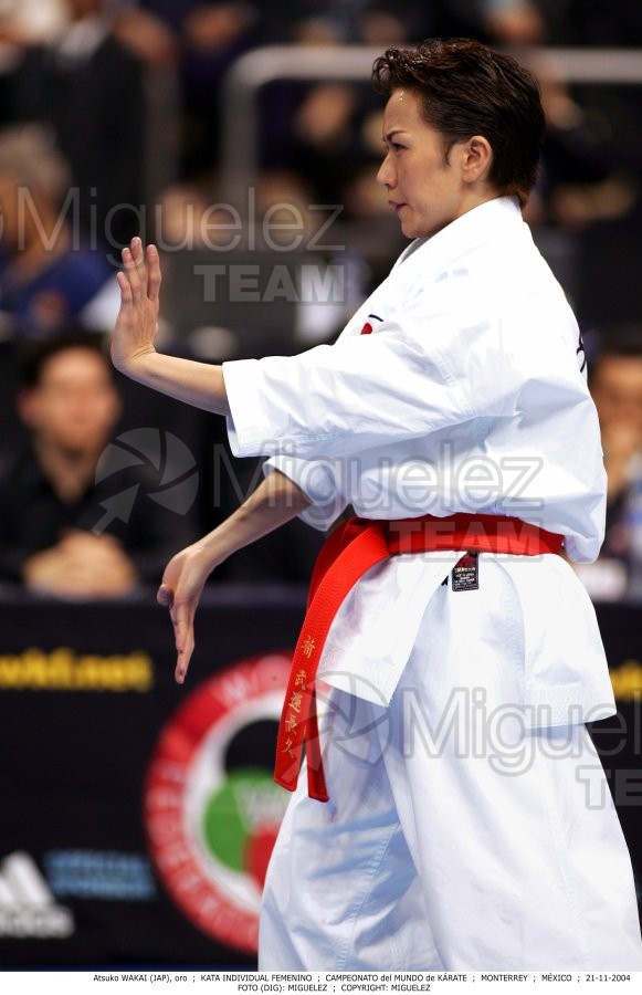 Campeonato Mundial de Karate (Monterrey) 2004.