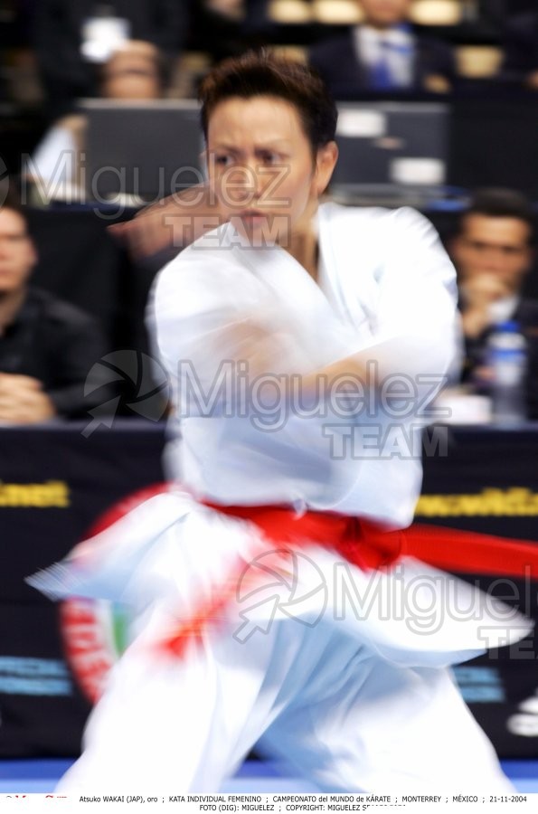 Campeonato Mundial de Karate (Monterrey) 2004.