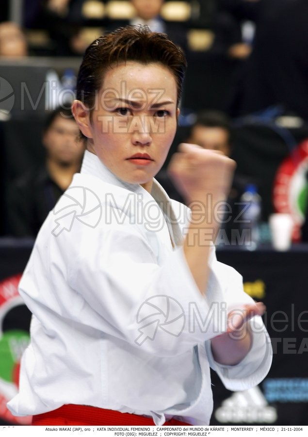 Campeonato Mundial de Karate (Monterrey) 2004.