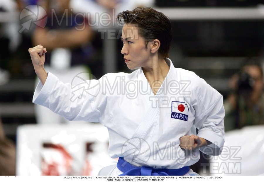 Campeonato Mundial de Karate (Monterrey) 2004.