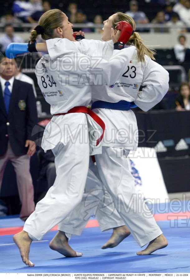 Campeonato Mundial de Karate (Monterrey) 2004.