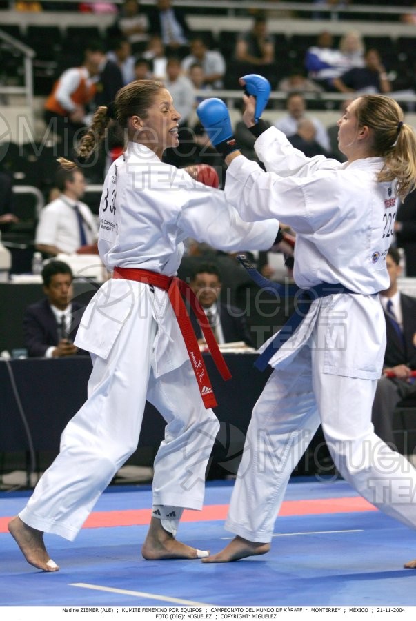 Campeonato Mundial de Karate (Monterrey) 2004.