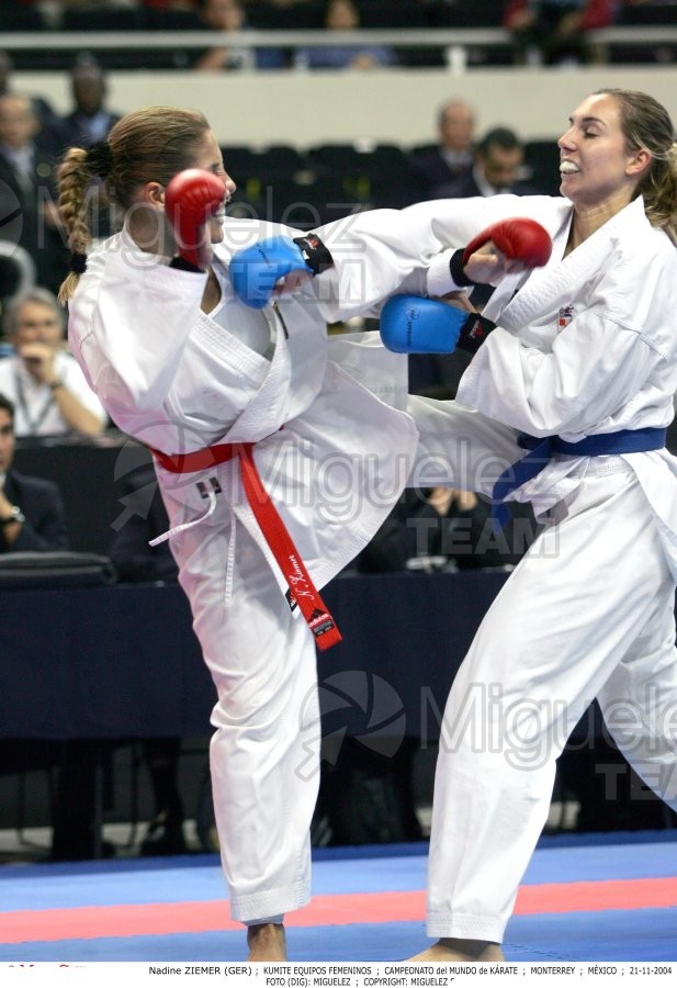 Campeonato Mundial de Karate (Monterrey) 2004.