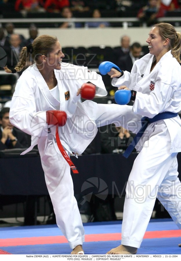 Campeonato Mundial de Karate (Monterrey) 2004.