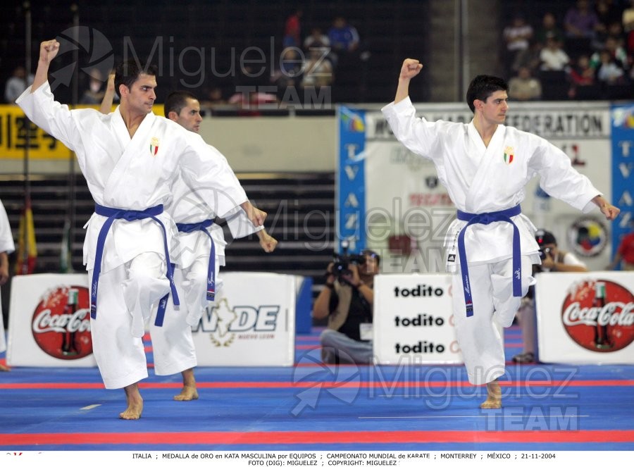 Campeonato Mundial de Karate (Monterrey) 2004.