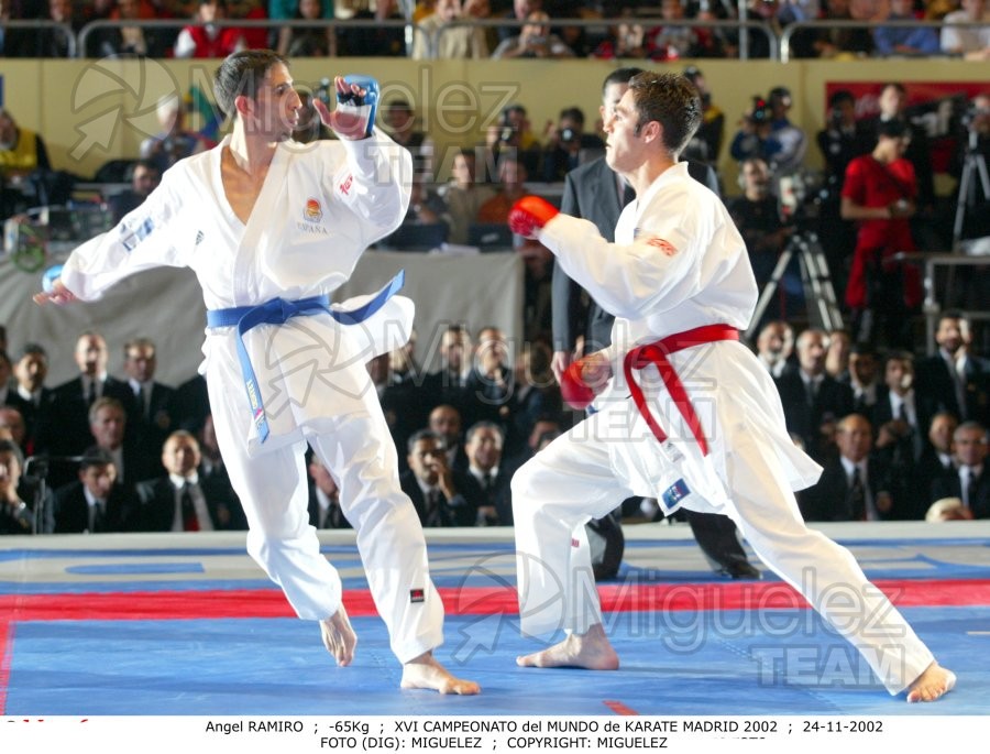 Campeonato del Mundo de Kumite y Katas, Madrid 2002.
