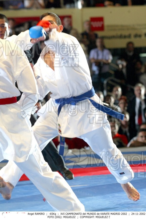 Campeonato del Mundo de Kumite y Katas, Madrid 2002.