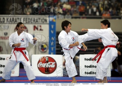 Campeonato Mundial de Karate (Monterrey) 2004.
