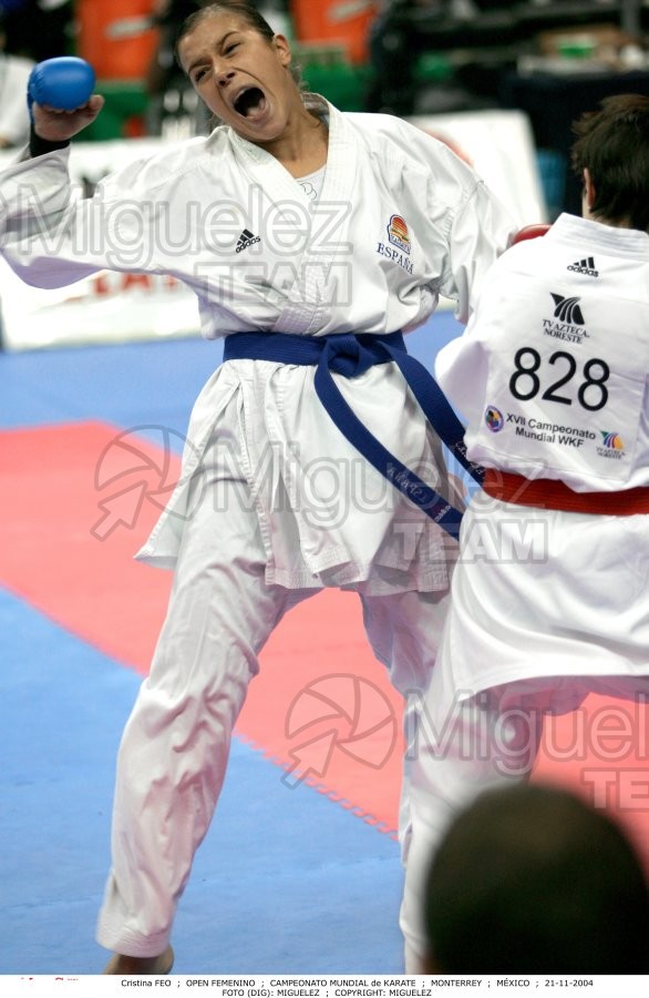 Campeonato Mundial de Karate (Monterrey) 2004. 