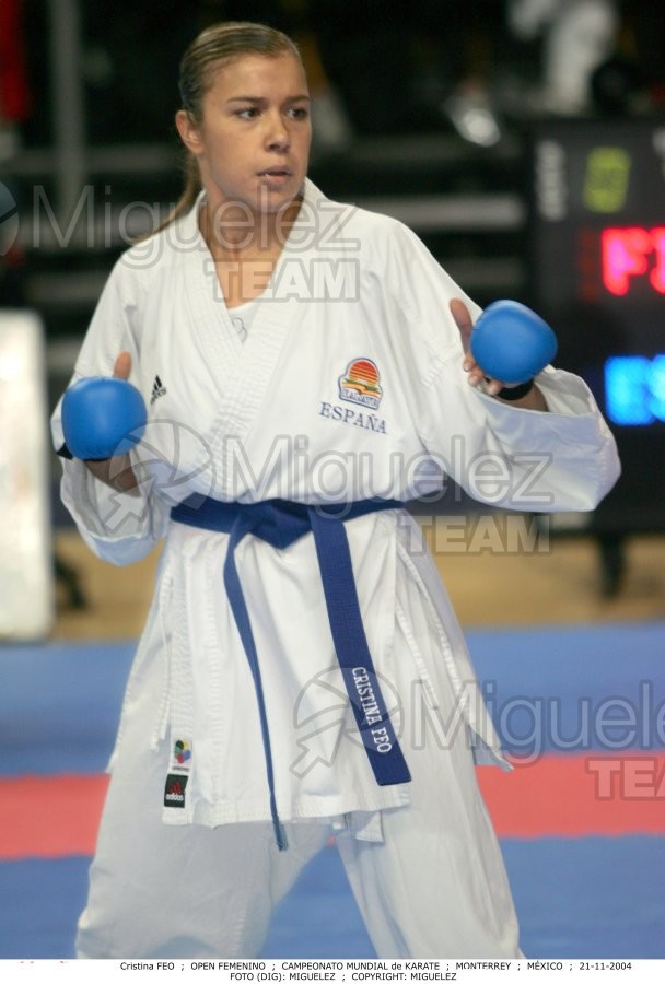Campeonato Mundial de Karate (Monterrey) 2004. 