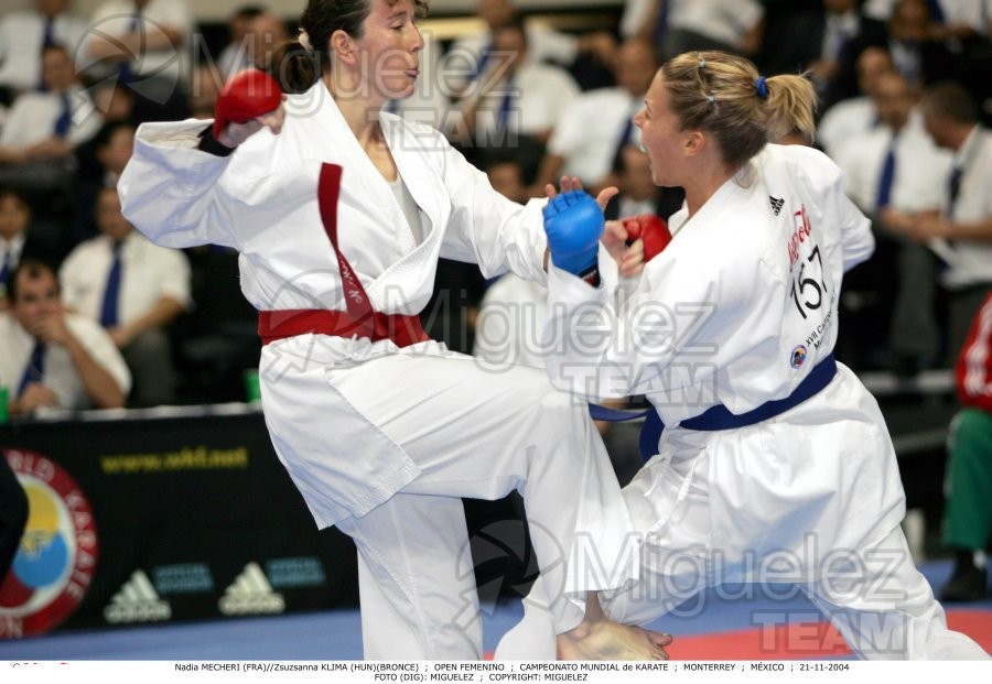 Campeonato Mundial de Karate (Monterrey) 2004. 
