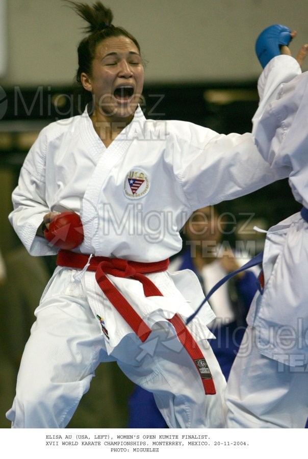 Campeonato Mundial de Karate (Monterrey) 2004. 