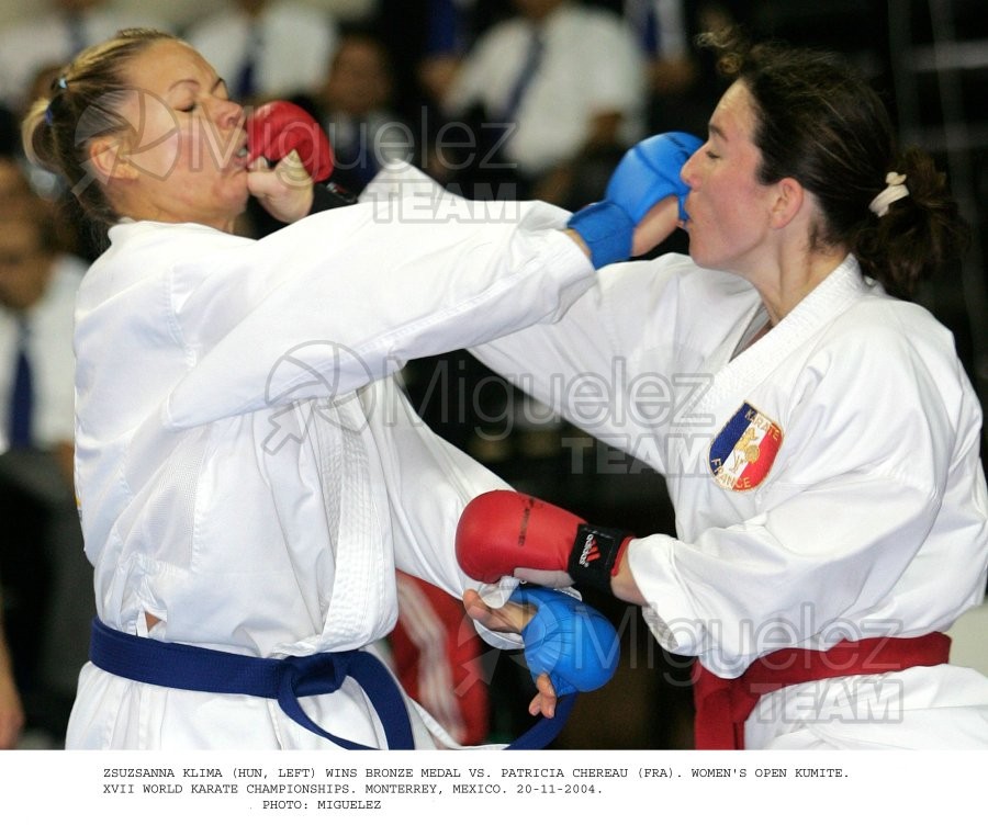 Campeonato Mundial de Karate (Monterrey) 2004. 