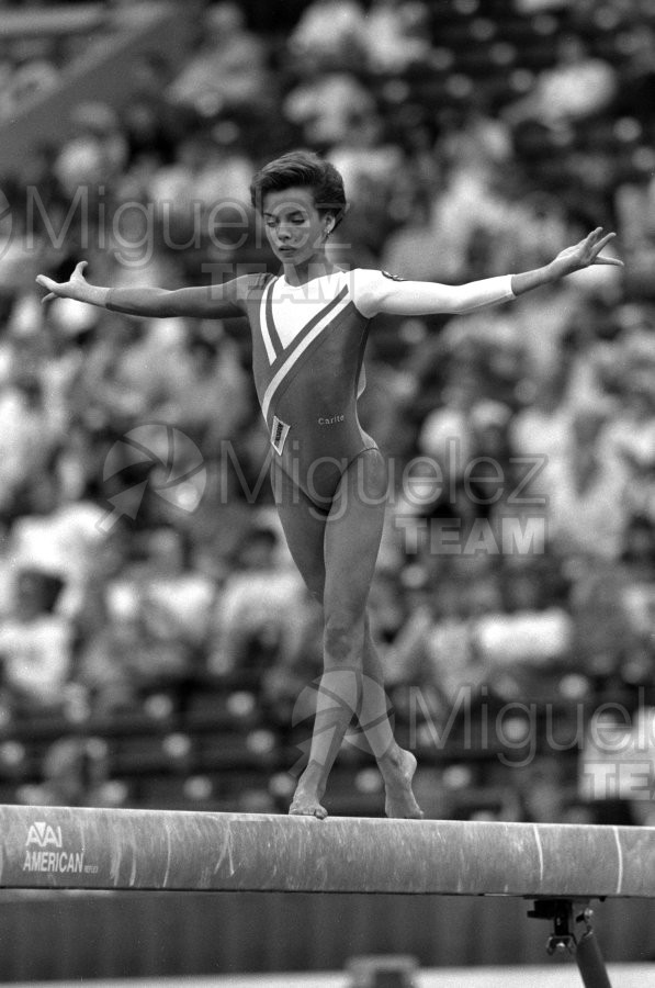 Campeonato del Mundo de Gimnasia Artística de Hombres y Mujeres en INDIANAPOLIS (USA) 1991