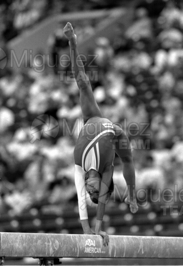 Campeonato del Mundo de Gimnasia Artística de Hombres y Mujeres en INDIANAPOLIS (USA) 1991